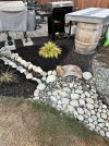 IMG_1109.jpeg