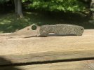IMG_9333.jpeg