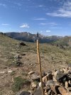 IMG_2028.jpeg