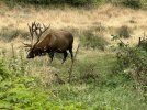IMG_6451.jpeg
