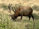 IMG_6453.jpeg