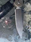 IMG_1446.jpeg