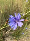IMG_0104.jpeg
