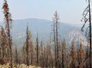 IMG_0098.jpeg