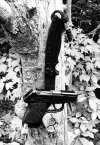 IMG_5530.jpeg