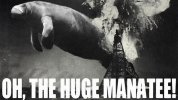 huge.jpg