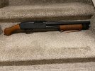 IMG_1608.jpeg