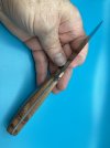 sycamore A2 skinner 1.jpg sycamore A2 skinner 1.jpg