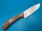 sycamore A2 skinner 4.jpg sycamore A2 skinner 4.jpg