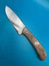 sycamore A2 skinner 5.jpg sycamore A2 skinner 5.jpg