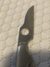 IMG_3840.jpeg