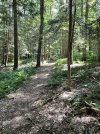 IMG_6106.jpeg
