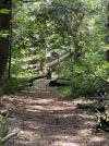 IMG_6107.jpeg