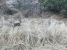 IMG_1648.JPEG