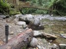 DFK in a log in mindo largest.jpg