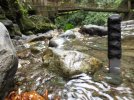 DFK in the water in mindo.jpg