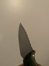 IMG_1804.jpeg