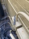 IMG_6234.jpeg