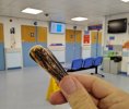 IMG_20230826_083617_MP~2.jpg