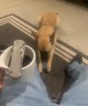 IMG_6204.jpeg