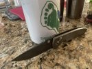 IMG_8199.jpeg