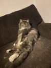IMG_1827.jpeg