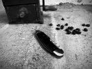IMG_6921.jpeg
