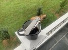IMG_6317.jpeg