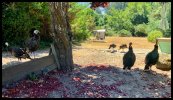 IMG_9359.jpeg