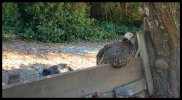 IMG_9361.jpeg