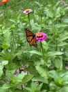 IMG_0863.jpeg