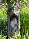 IMG_2405.jpeg