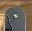 IMG_3555.jpeg