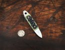 tuna-pick-jiggreenbone-lo.jpg