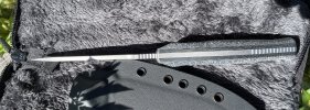 IMG_1124.jpeg