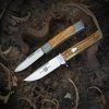 GEC H10 LionSteel BM2.jpg