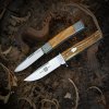 GEC H10 LionSteel BM2 b.jpg