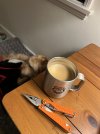 IMG_1651.jpeg