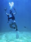 Guam Diver small.jpg