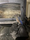 IMG_1961.jpeg