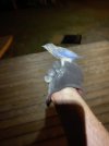 IMG_1962.jpeg