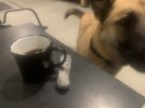 IMG_6483.jpeg