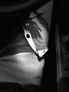 IMG_0019.jpg