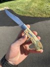 IMG_7037.jpeg