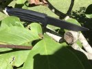IMG_5836.jpeg