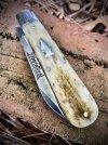 IMG_7612.jpeg