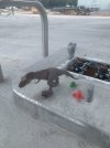 IMG_6506.jpeg