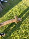 IMG_1969.jpeg