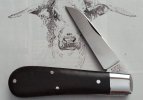 KIMG5097~3.JPG