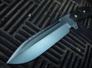 serrated she.jpg